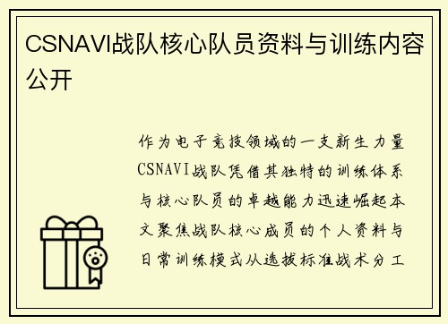 CSNAVI战队核心队员资料与训练内容公开